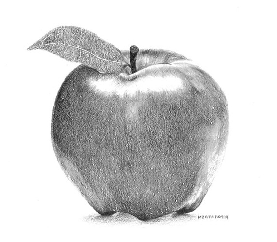 Value Mrs Cook S Art Class Realistic apple tree drawing | realistic drawings, tree. mrs cook s art class weebly